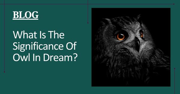 What Is The Significance Of Owl In Dream? - Featured Image